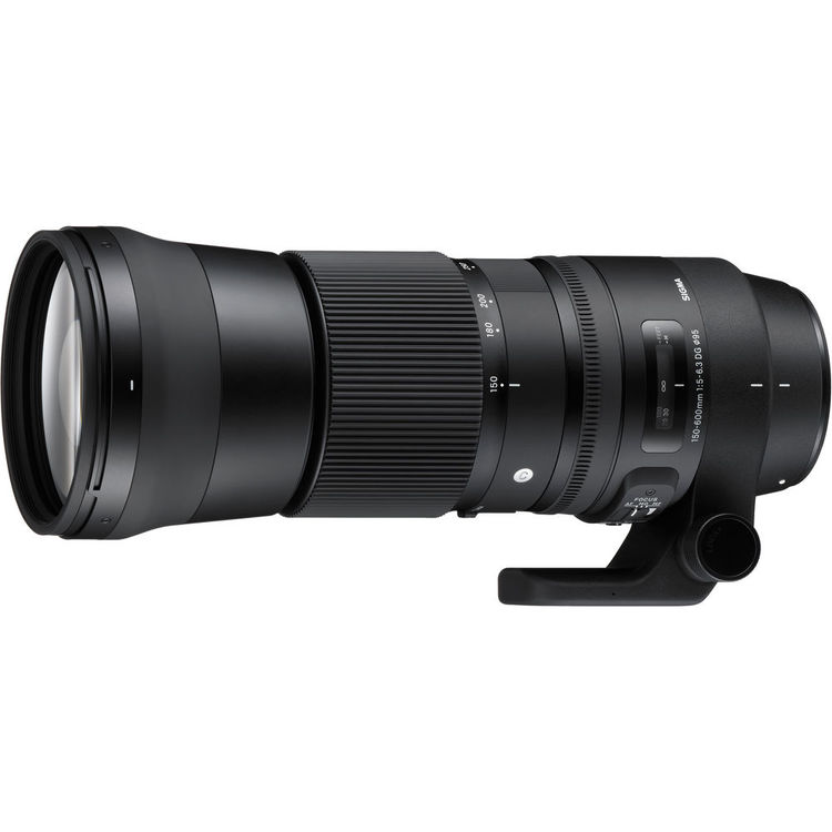 Sigma 150-600mm f/5-6.3 DG OS HSM