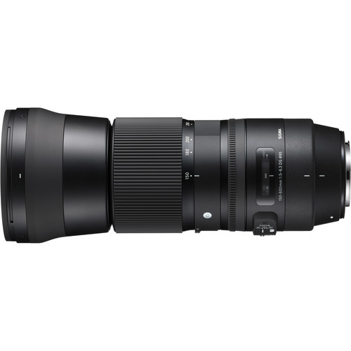 Sigma 150-600mm f/5-6.3 DG OS HSM - Image 4