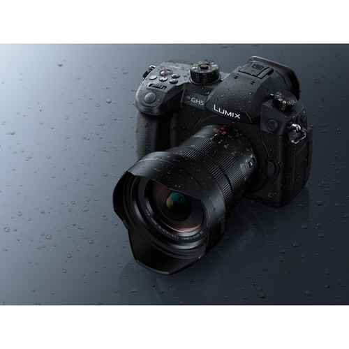 Panasonic Leica DG Vario-Elmarit 8-18mm f/2.8-4 ASPH. Lens - Image 6